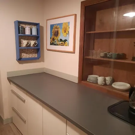 Weberstube Vogtland Appartement *